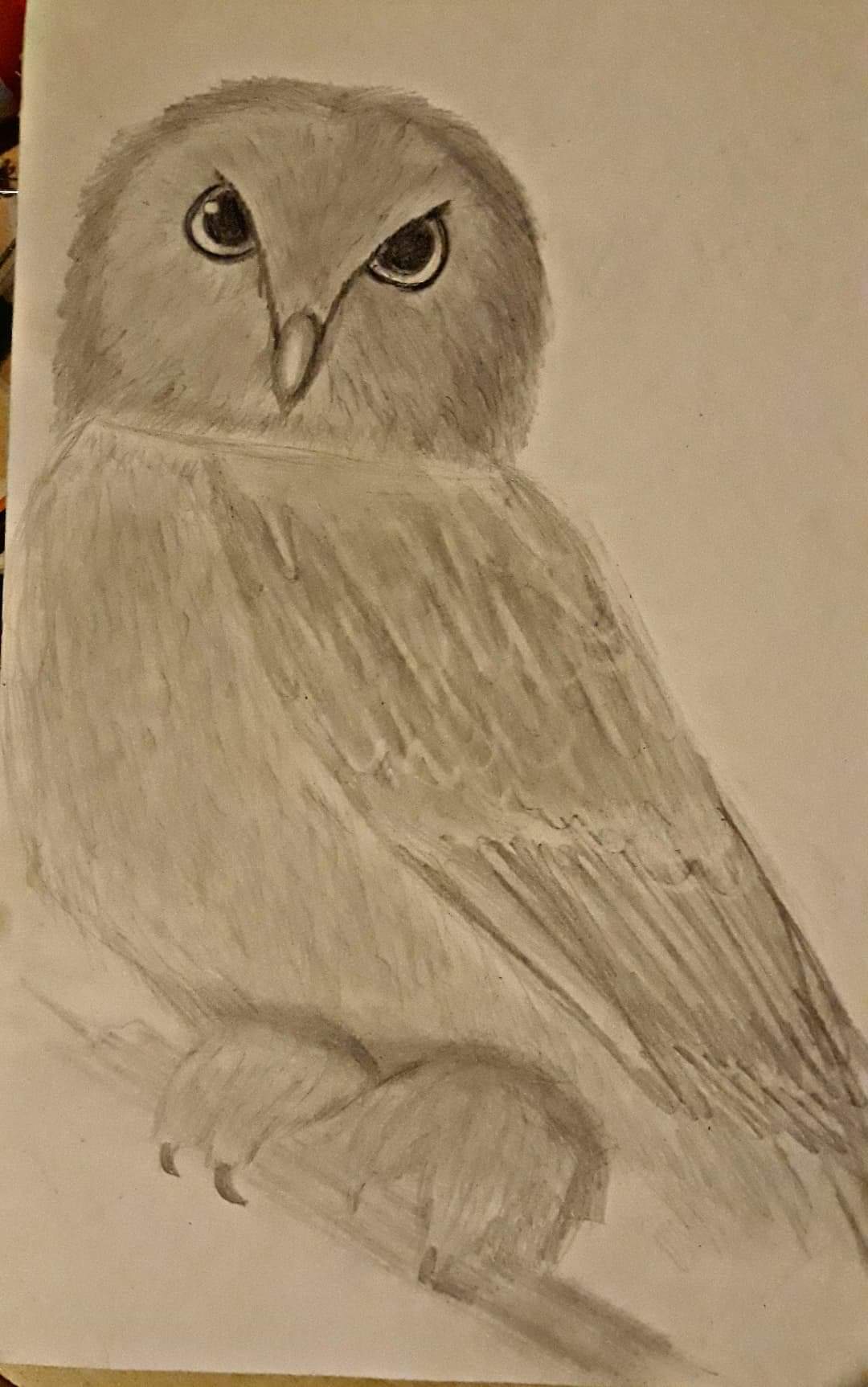 Paukščiai by Meilutė Andriukaitienė - Ourboox.com