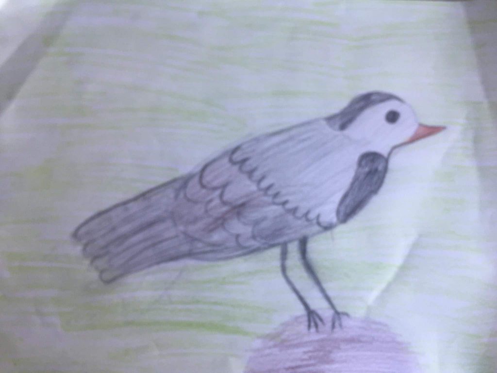 Paukščiai by Meilutė Andriukaitienė - Ourboox.com