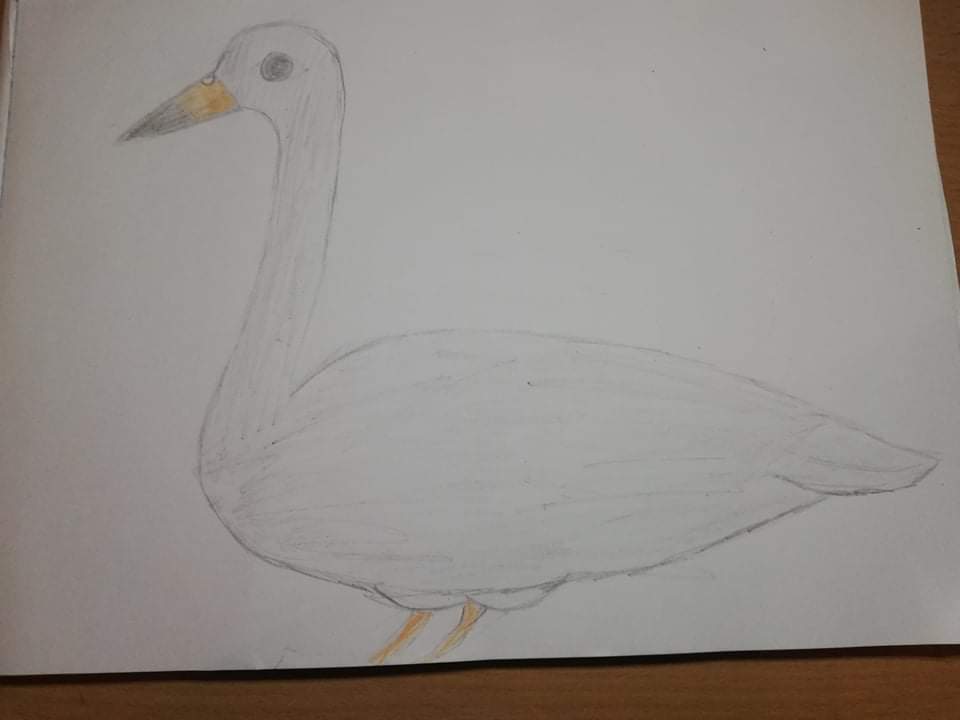 Paukščiai by Meilutė Andriukaitienė - Ourboox.com
