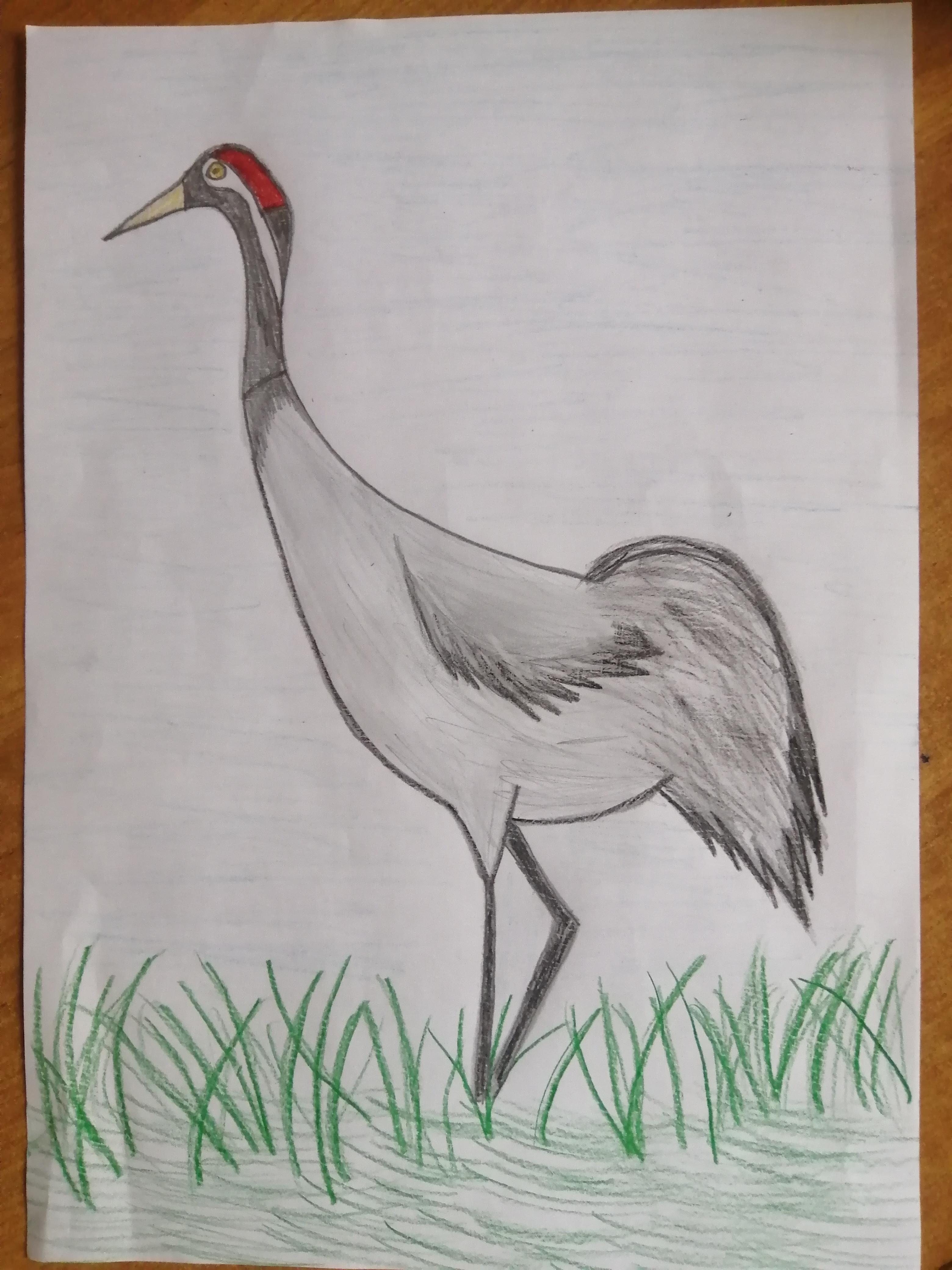 Paukščiai by Meilutė Andriukaitienė - Ourboox.com