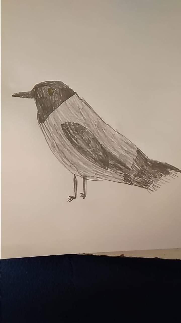 Paukščiai by Meilutė Andriukaitienė - Ourboox.com
