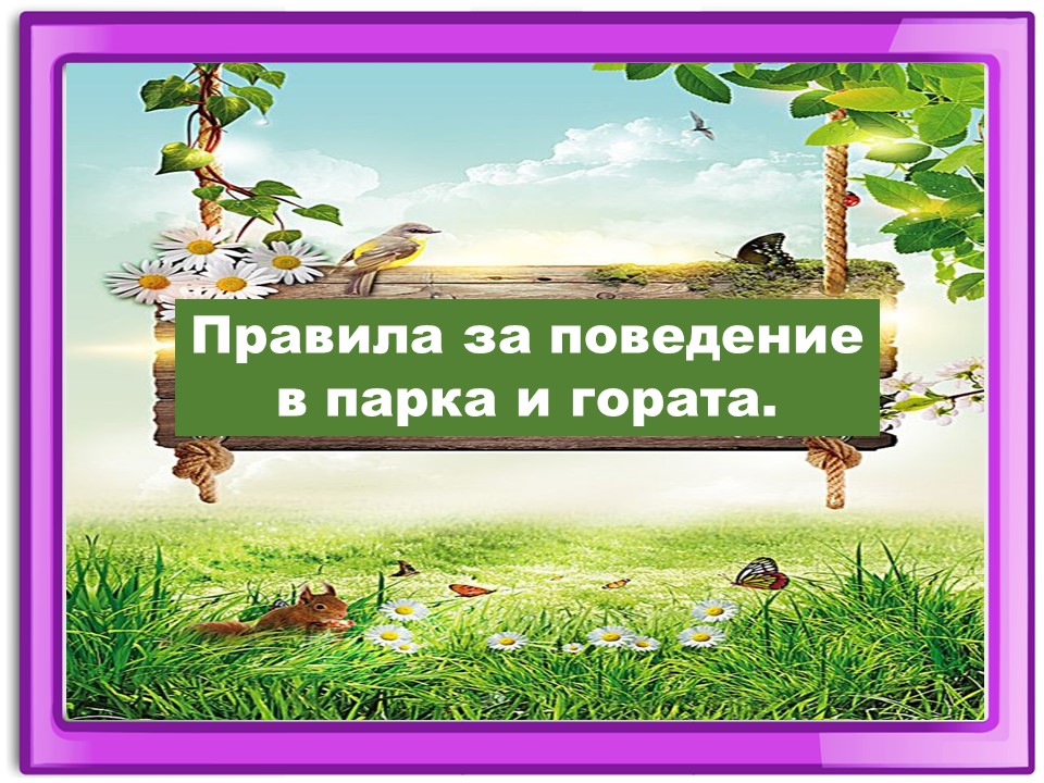 Правила маза парка