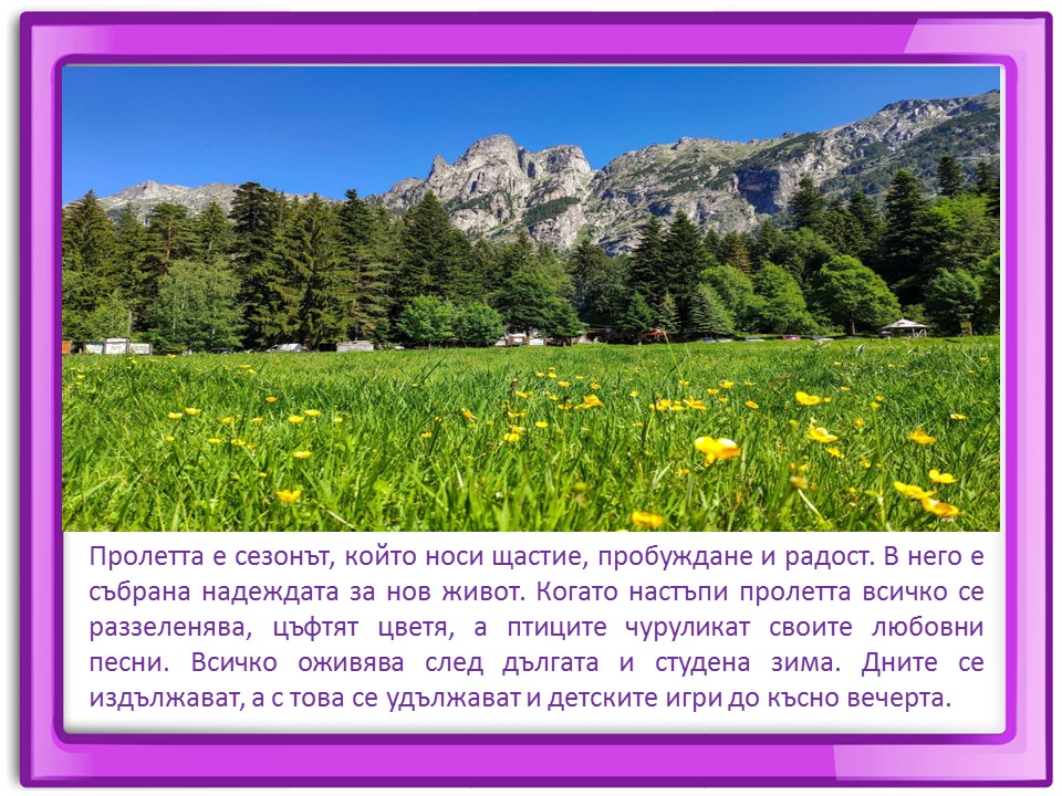 Правила маза парка