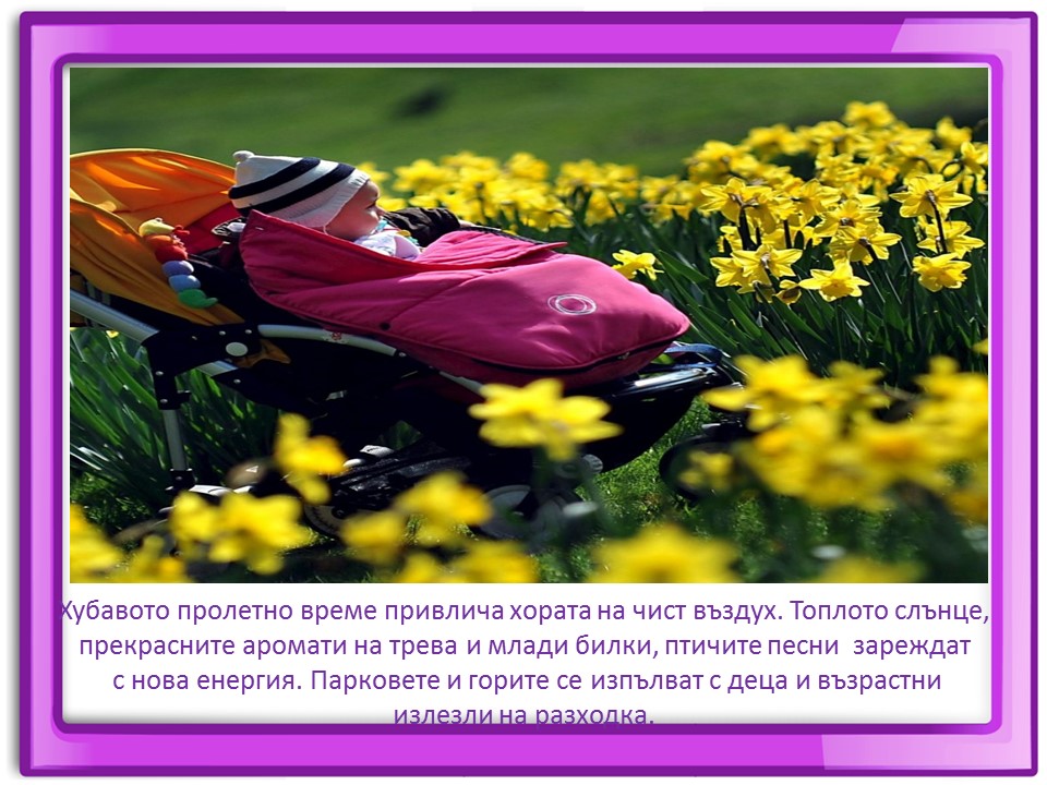 Правила маза парка