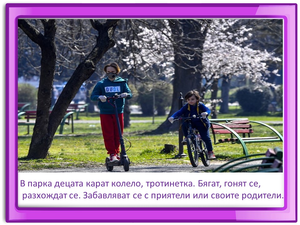 Правила маза парка