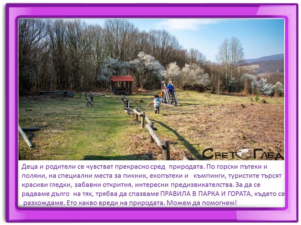 Правила маза парка