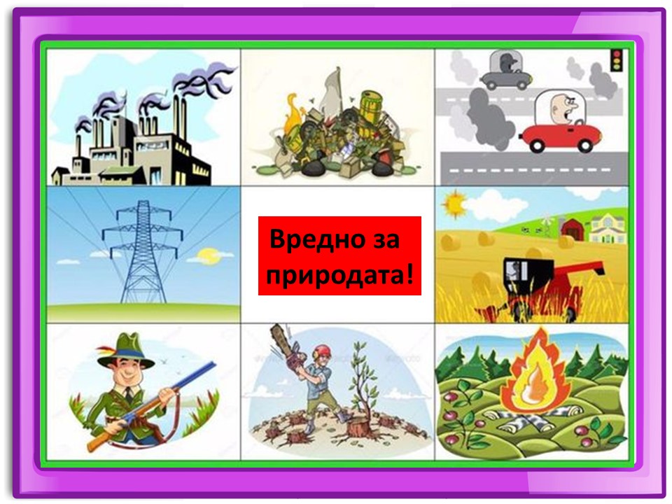 Правила маза парка