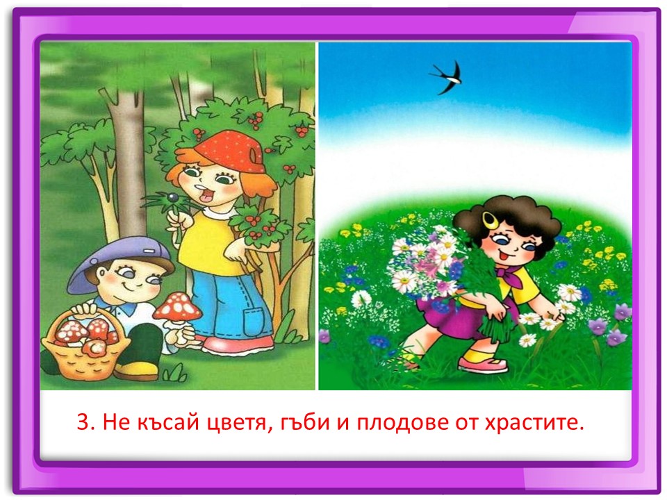 Правила маза парка