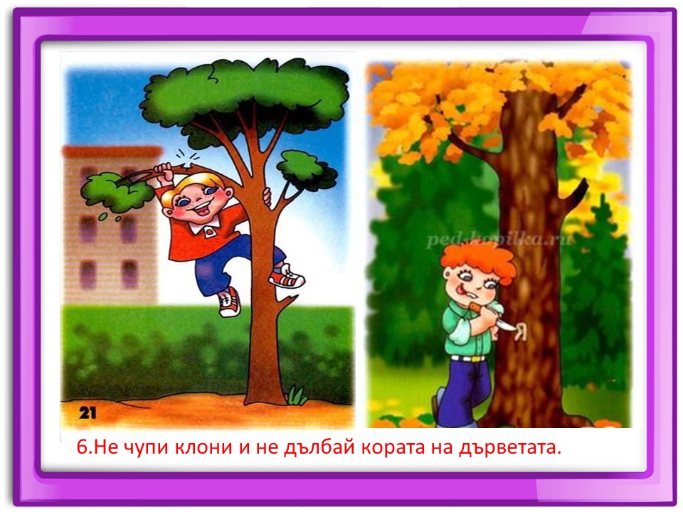 Правила маза парка