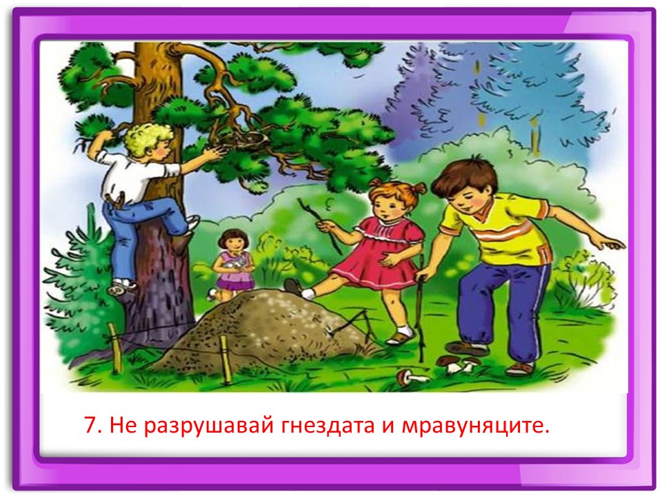 Правила маза парка