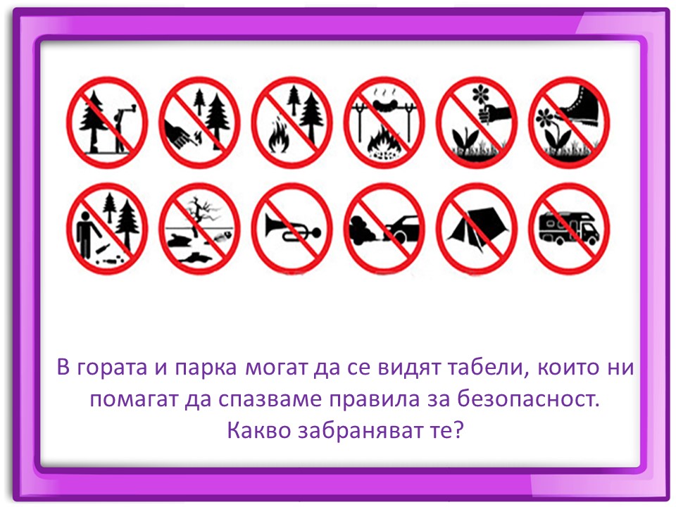 Правила маза парка