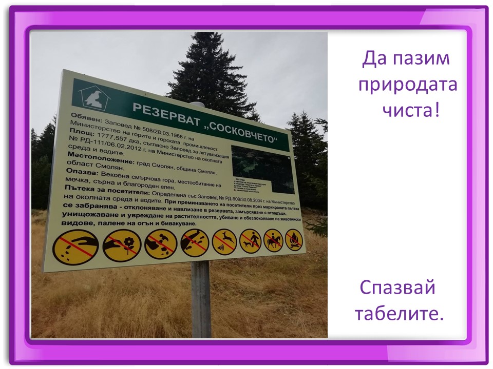 Правила маза парка