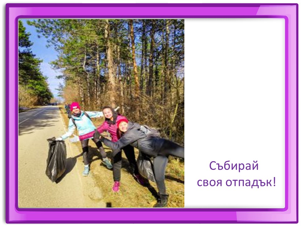 Правила маза парка