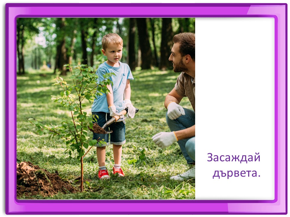 Правила маза парка