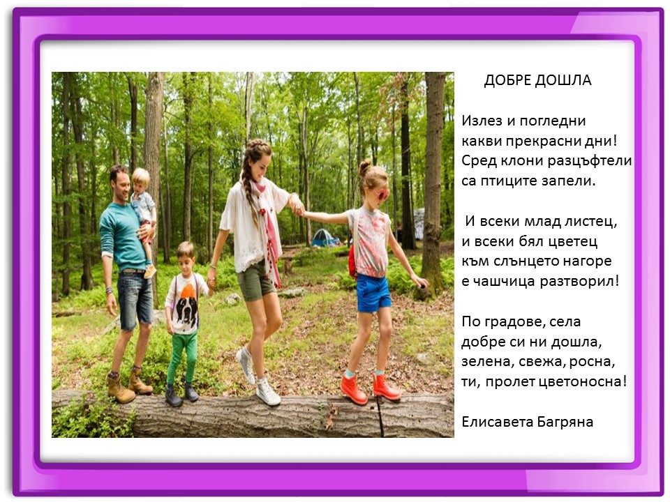 Правила маза парка