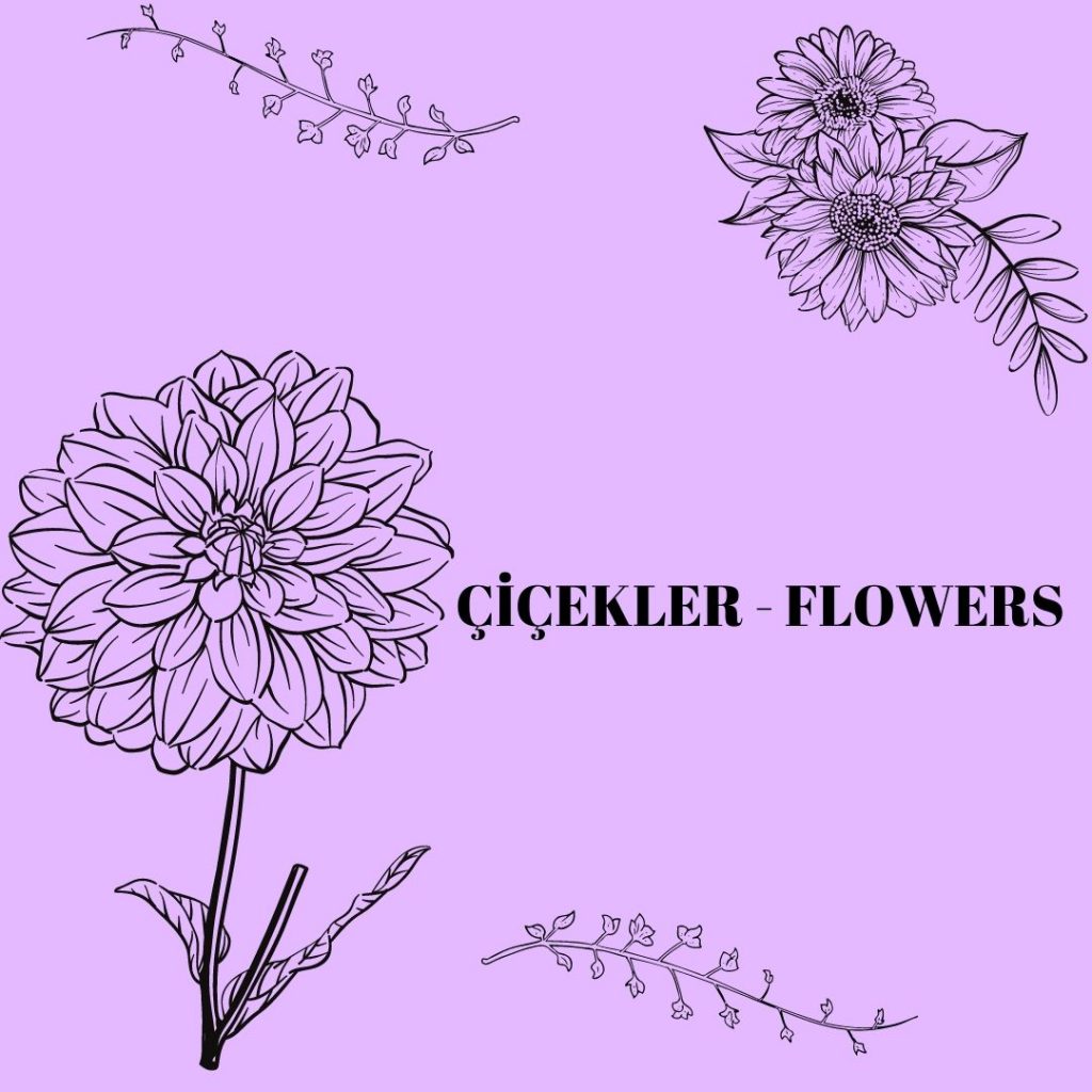 DÜNYANIN SÜSLERİ ÇİÇEKLERİ ÖĞRENELİM WORLD ORNAMENT LET’S LEARN THE FLOWERS by sukran - Illustrated by Şükran Yenigelen - Ourboox.com