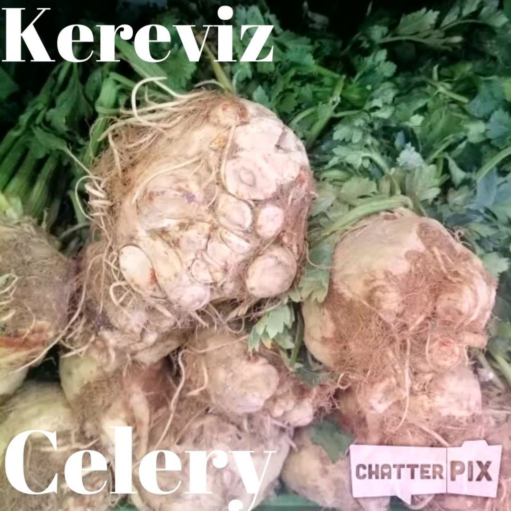 SEBZELERİ ÖĞRENELİM – 2 — LET’S LEARN THE VEGETABLES -2 by sukran - Illustrated by Şükran Yenigelen - Ourboox.com