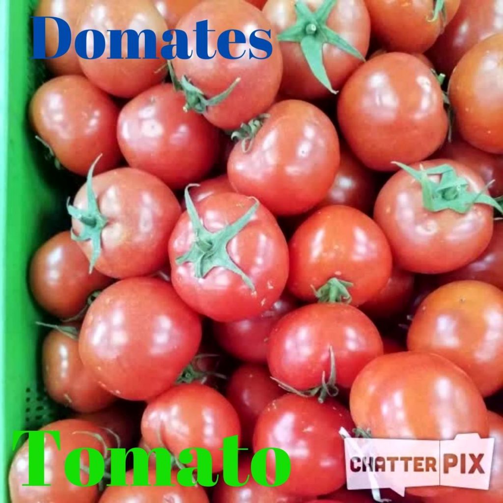 SEBZELERİ ÖĞRENELİM – 2 — LET’S LEARN THE VEGETABLES -2 by sukran - Illustrated by Şükran Yenigelen - Ourboox.com