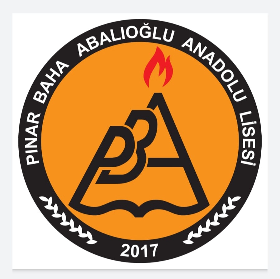 Teacher Name:Elif Selçuk School:Pınar Baha Abalıoğlu High School/Denizli Turkey Work: Women in 12 languages