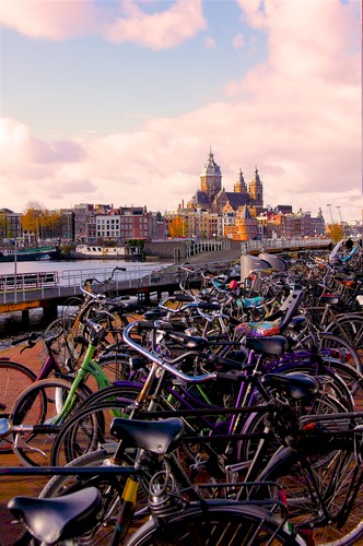 Five things you need to know about Amsterdam by Layla no - Illustrated by Neta & Agam - Ourboox.com