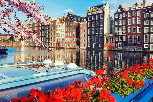 Five things you need to know about Amsterdam by Layla no - Illustrated by Neta & Agam - Ourboox.com