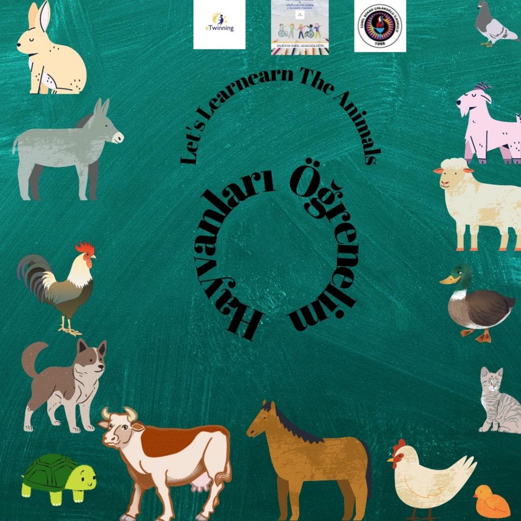 HAYVANLARI TANIYALIM – LET’S LEARN THE ANİMALS by sukran - Illustrated by Şükran Yenigelen - Ourboox.com HAYVANLARI TANIYALIM – LET’S LEARN THE ANİMALS by sukran - Illustrated by Şükran Yenigelen - Ourboox.com