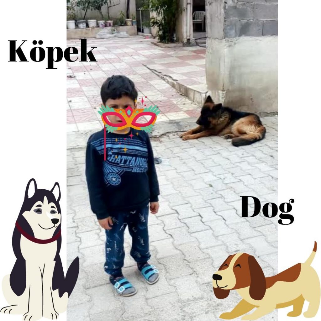 HAYVANLARI TANIYALIM – LET’S LEARN THE ANİMALS by sukran - Illustrated by Şükran Yenigelen - Ourboox.com