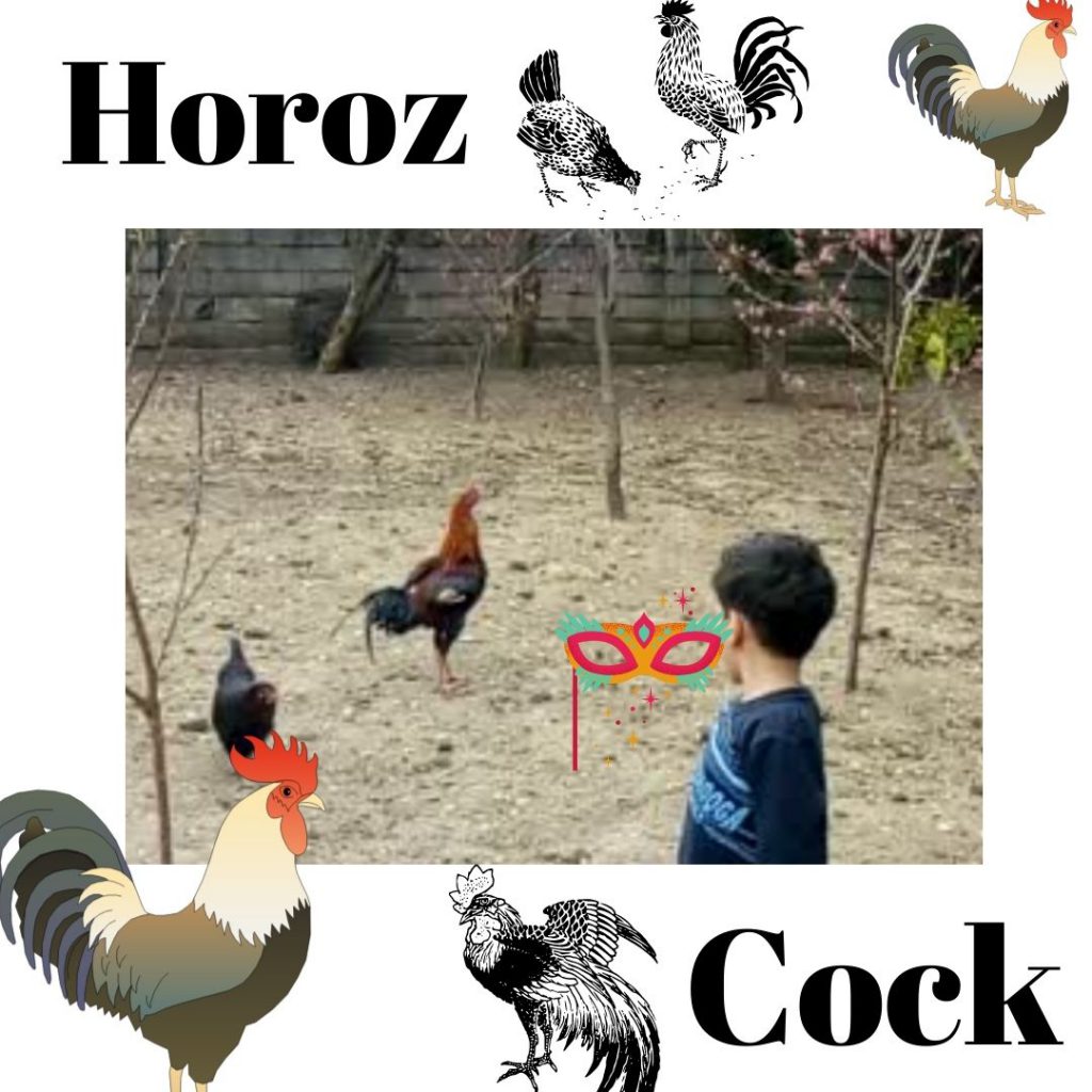 HAYVANLARI TANIYALIM – LET’S LEARN THE ANİMALS by sukran - Illustrated by Şükran Yenigelen - Ourboox.com