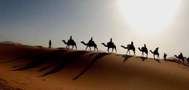 ما هي الصحراء؟ מה זה המדבר ما هي الصحراء؟ מה זה המדבר