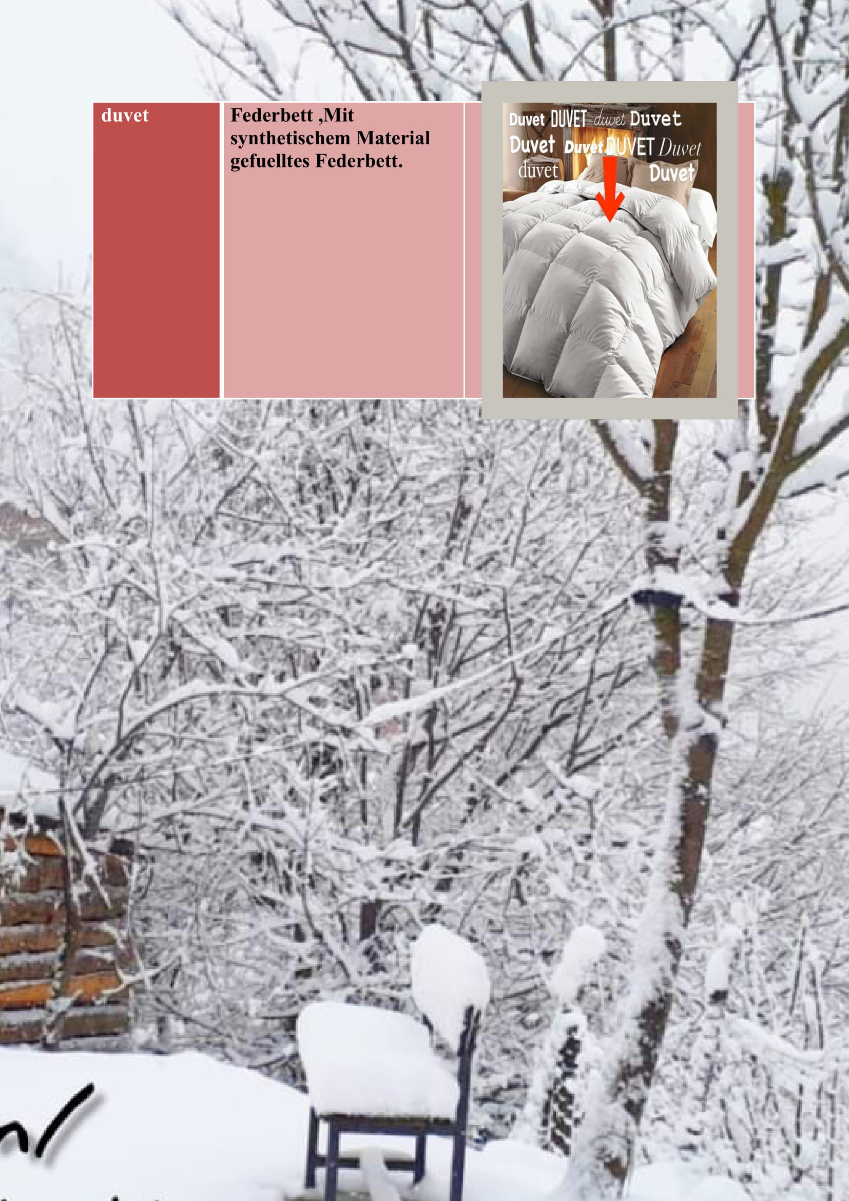 WINTER ITEMS DICTIONARY by mine seyhan - Illustrated by Mine Seyhan - Ourboox.com