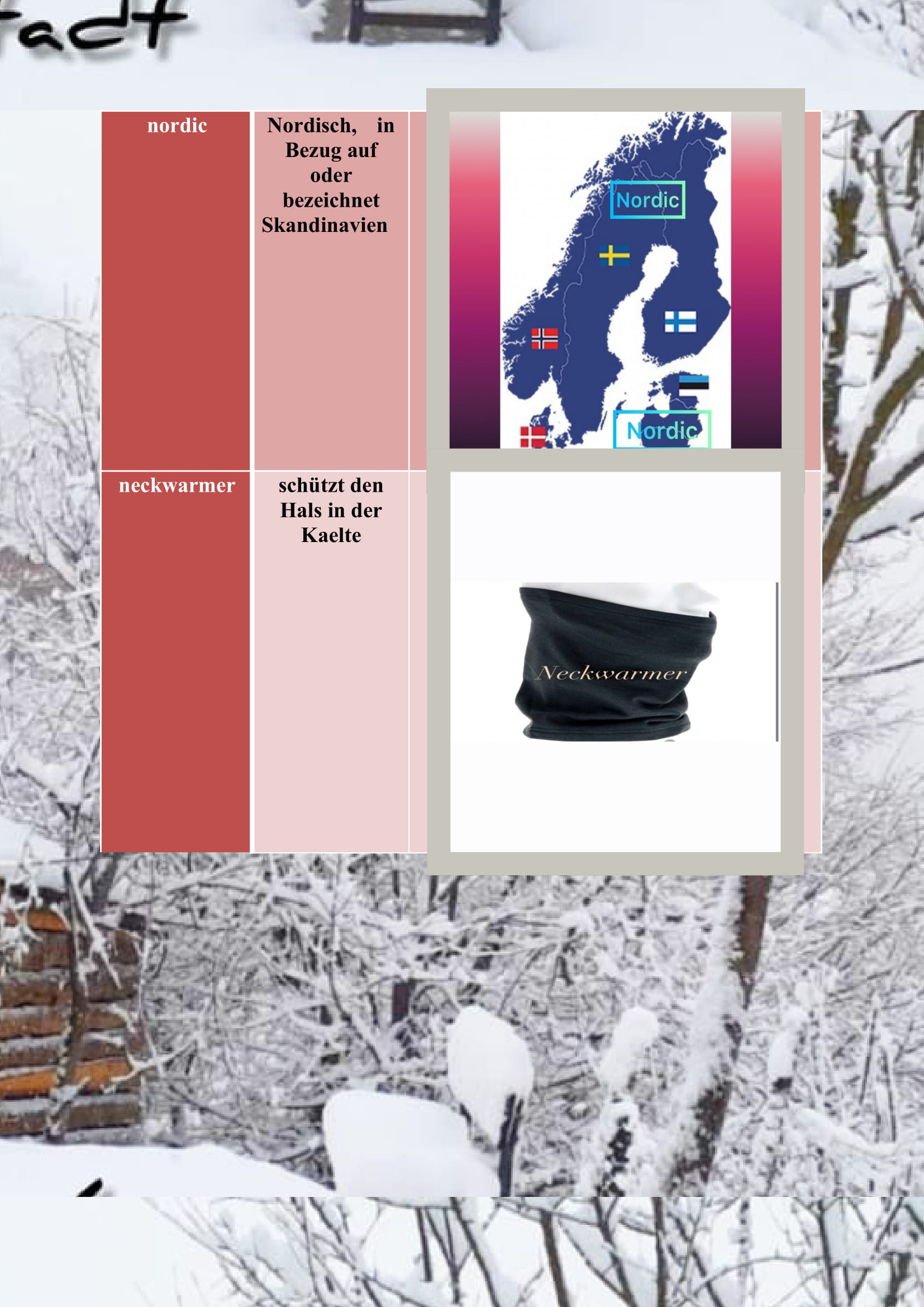 WINTER ITEMS DICTIONARY by mine seyhan - Illustrated by Mine Seyhan - Ourboox.com