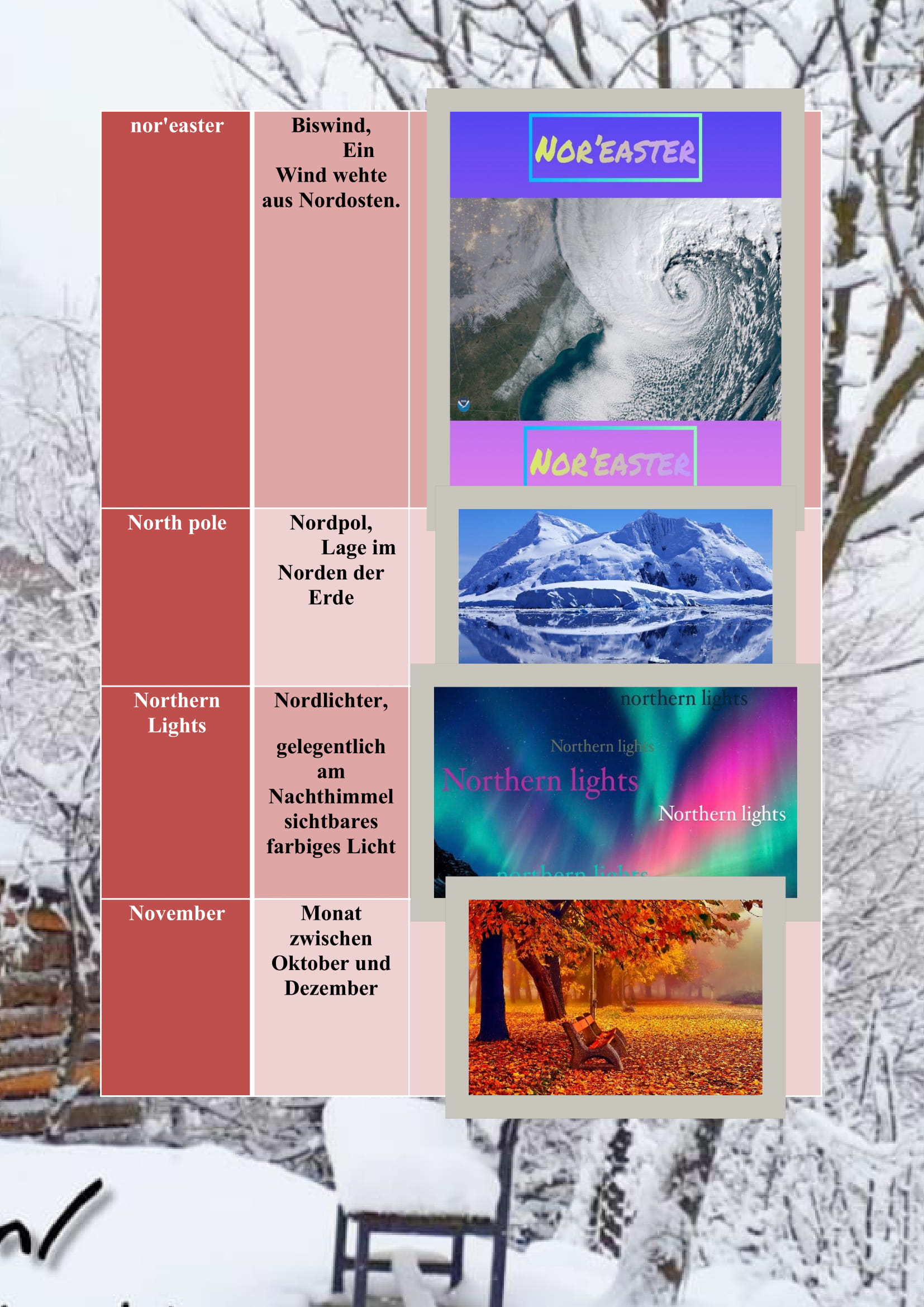 WINTER ITEMS DICTIONARY by mine seyhan - Illustrated by Mine Seyhan - Ourboox.com