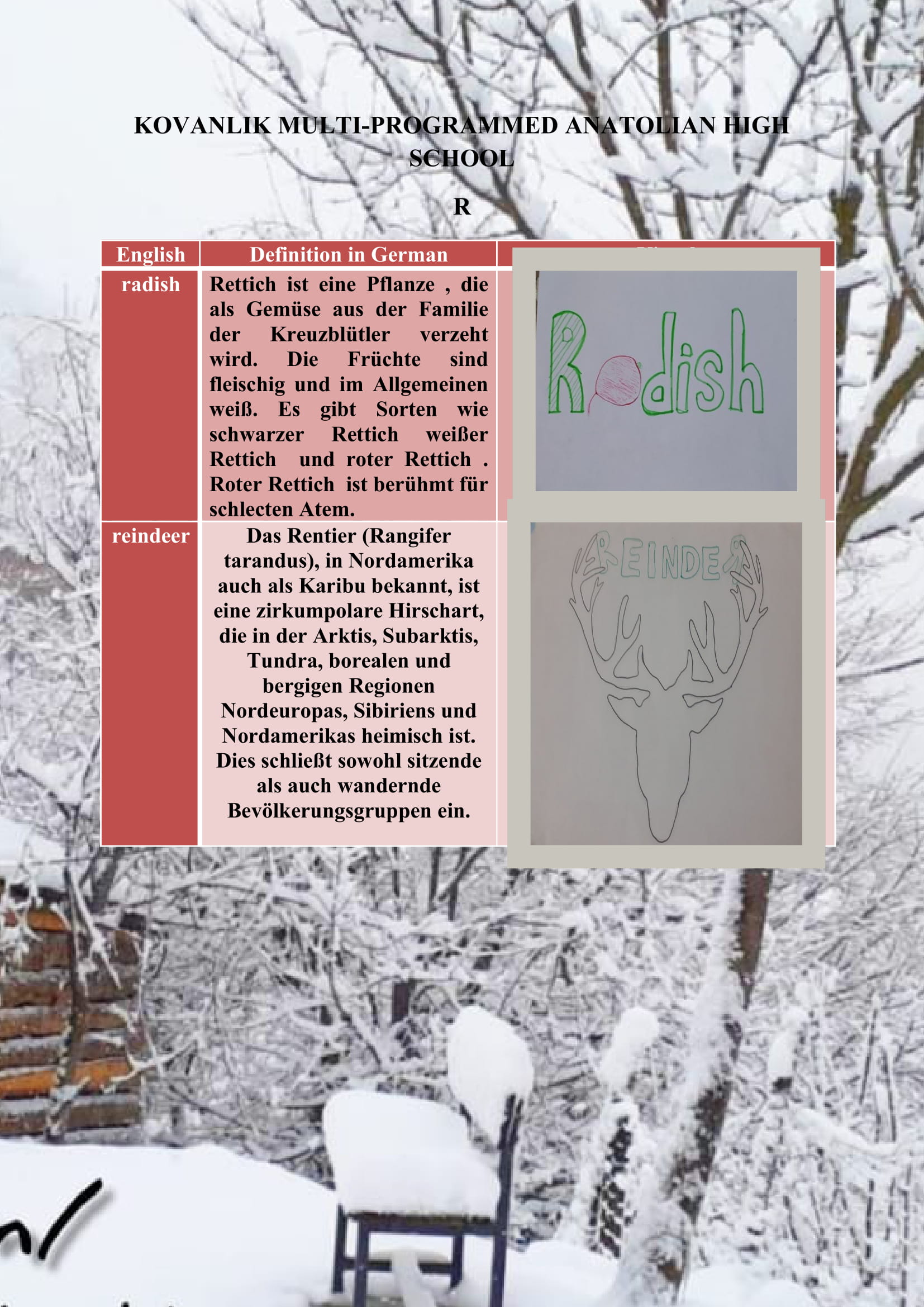 WINTER ITEMS DICTIONARY by mine seyhan - Illustrated by Mine Seyhan - Ourboox.com