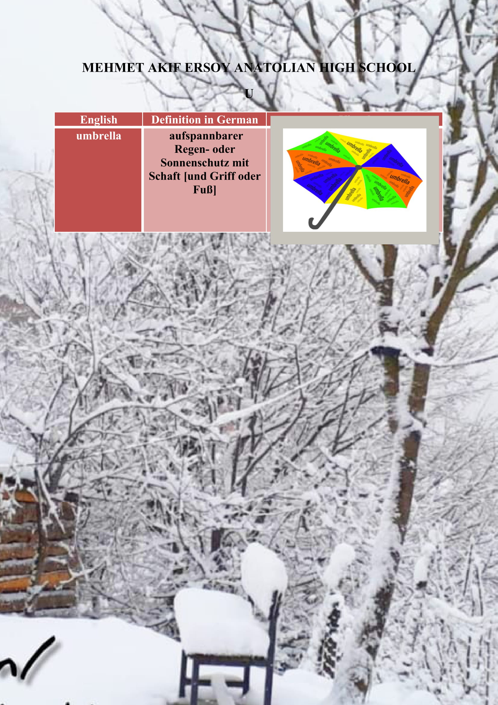 WINTER ITEMS DICTIONARY by mine seyhan - Illustrated by Mine Seyhan - Ourboox.com
