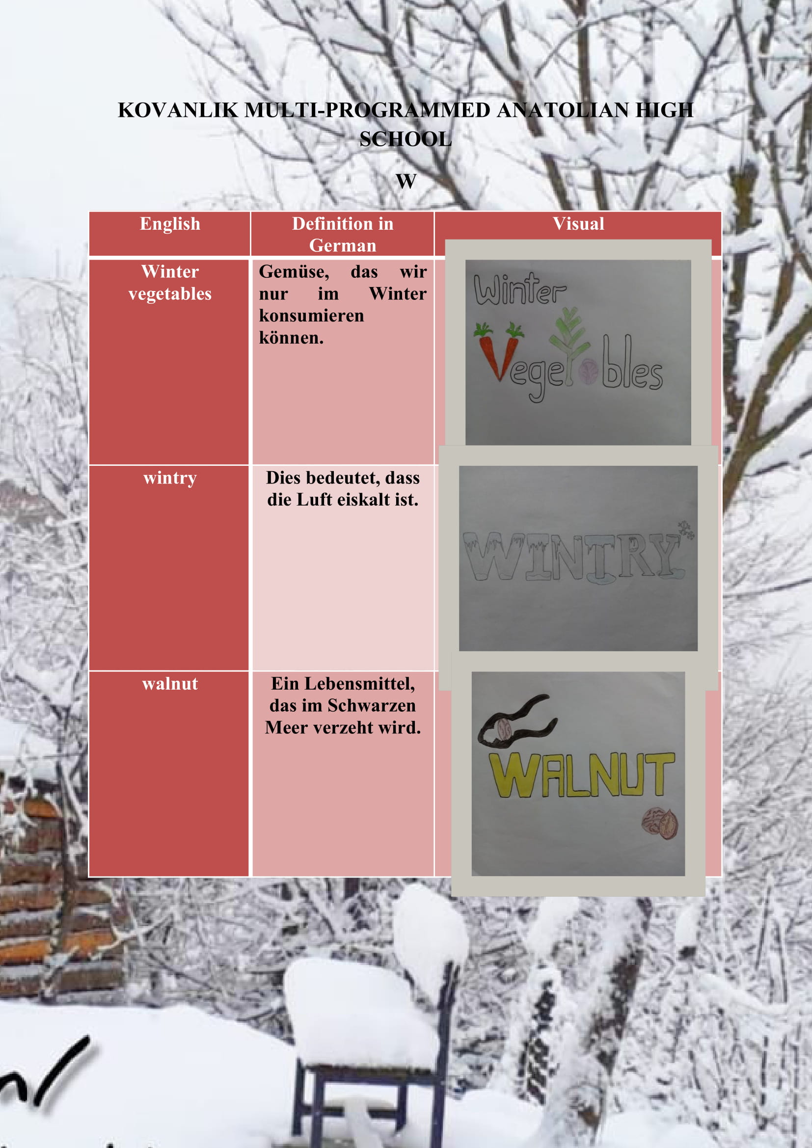 WINTER ITEMS DICTIONARY by mine seyhan - Illustrated by Mine Seyhan - Ourboox.com