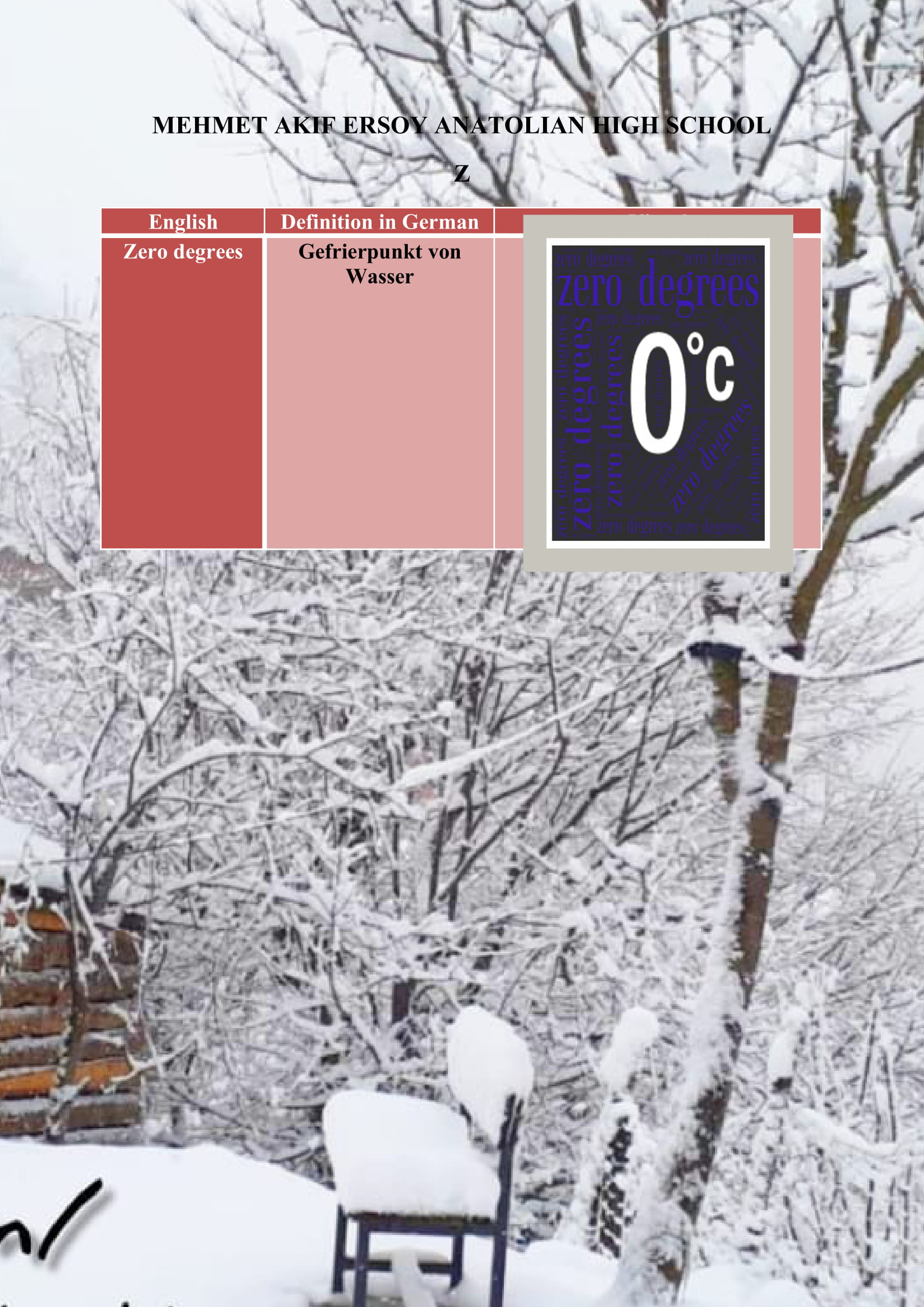 WINTER ITEMS DICTIONARY by mine seyhan - Illustrated by Mine Seyhan - Ourboox.com