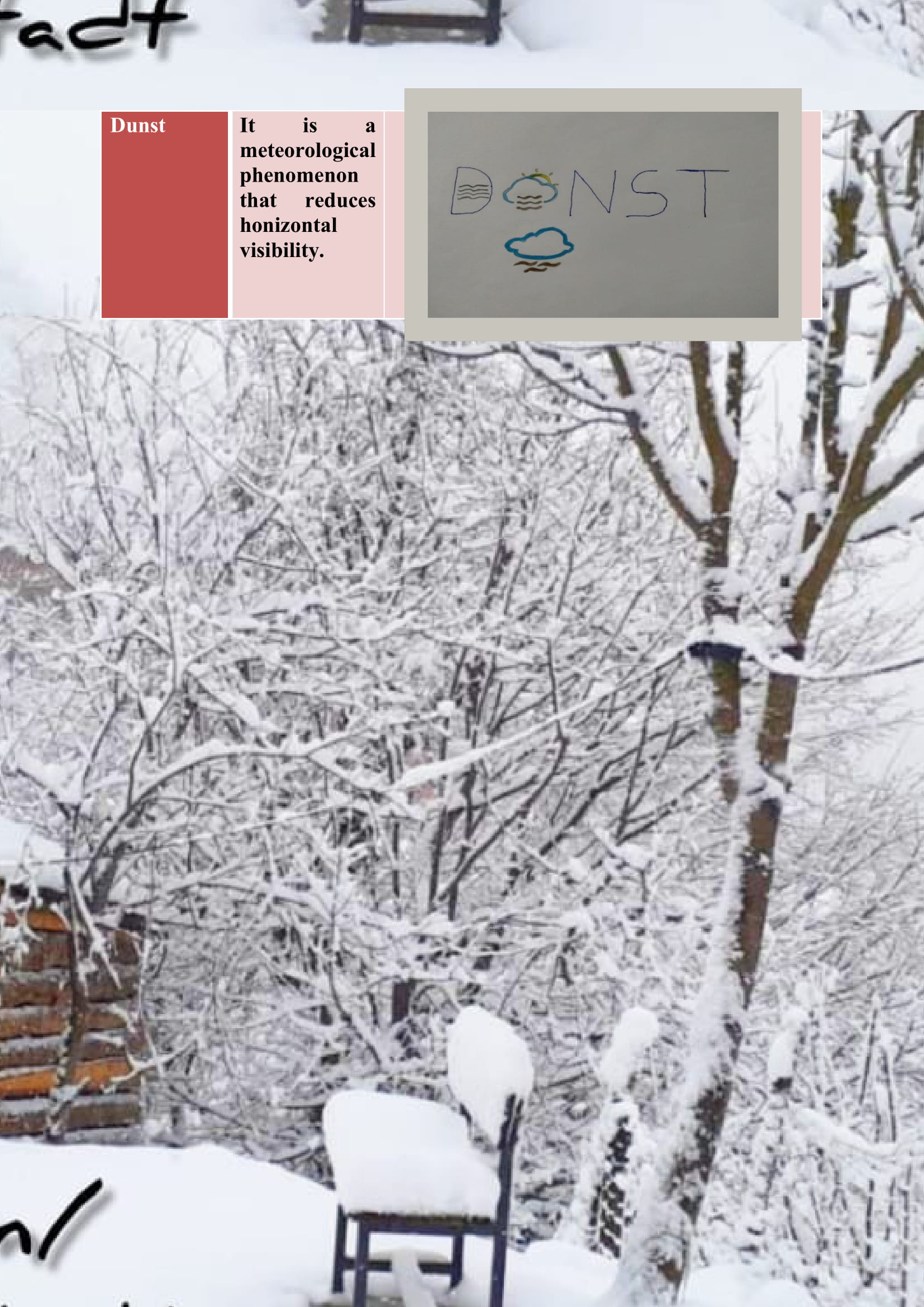 WINTER ITEMS DICTIONARY by mine seyhan - Illustrated by Mine Seyhan - Ourboox.com