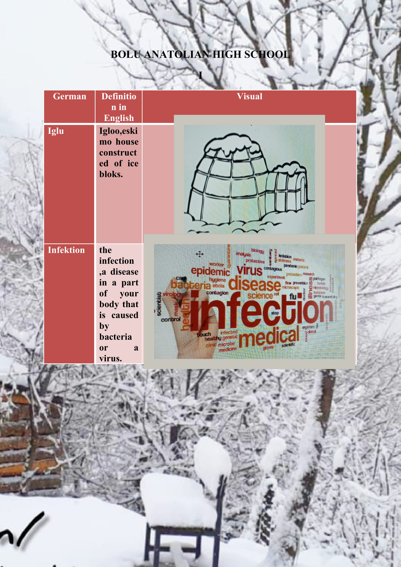 WINTER ITEMS DICTIONARY by mine seyhan - Illustrated by Mine Seyhan - Ourboox.com
