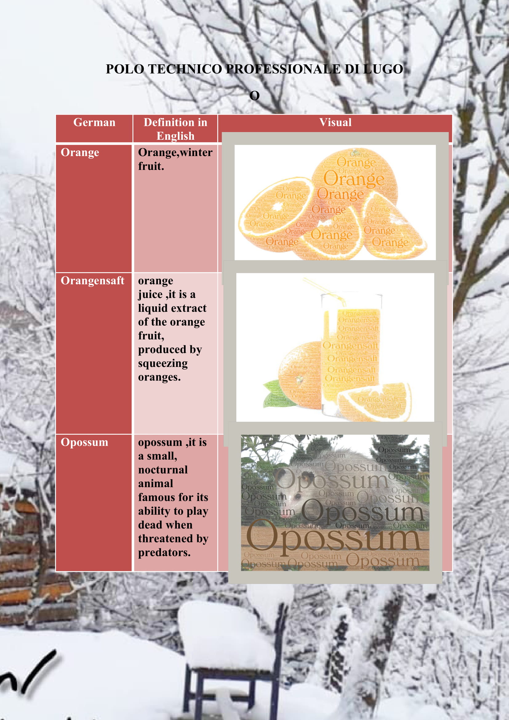 WINTER ITEMS DICTIONARY by mine seyhan - Illustrated by Mine Seyhan - Ourboox.com