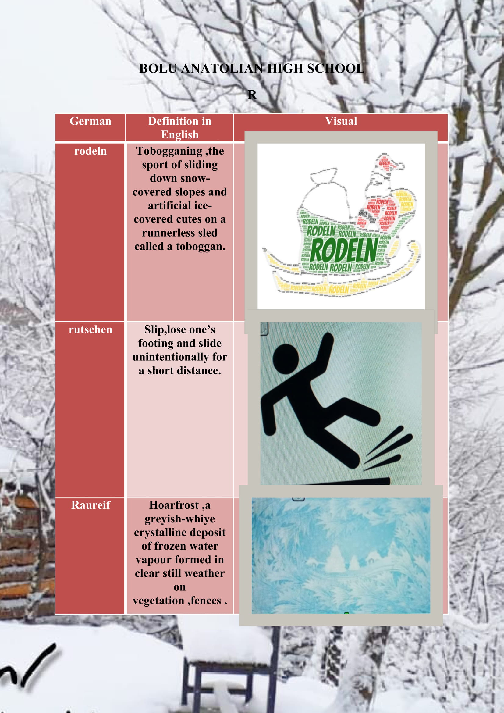 WINTER ITEMS DICTIONARY by mine seyhan - Illustrated by Mine Seyhan - Ourboox.com