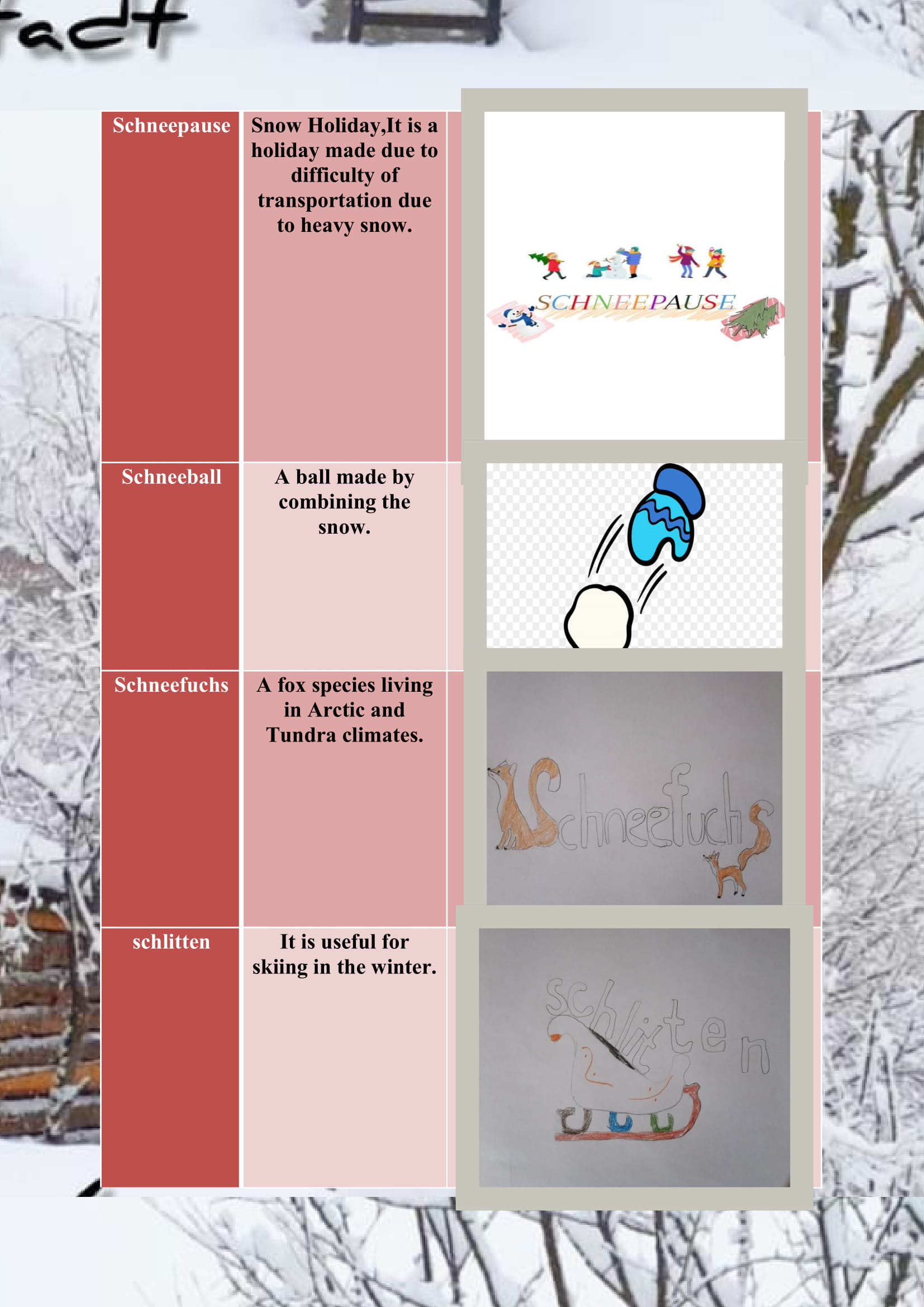 WINTER ITEMS DICTIONARY by mine seyhan - Illustrated by Mine Seyhan - Ourboox.com