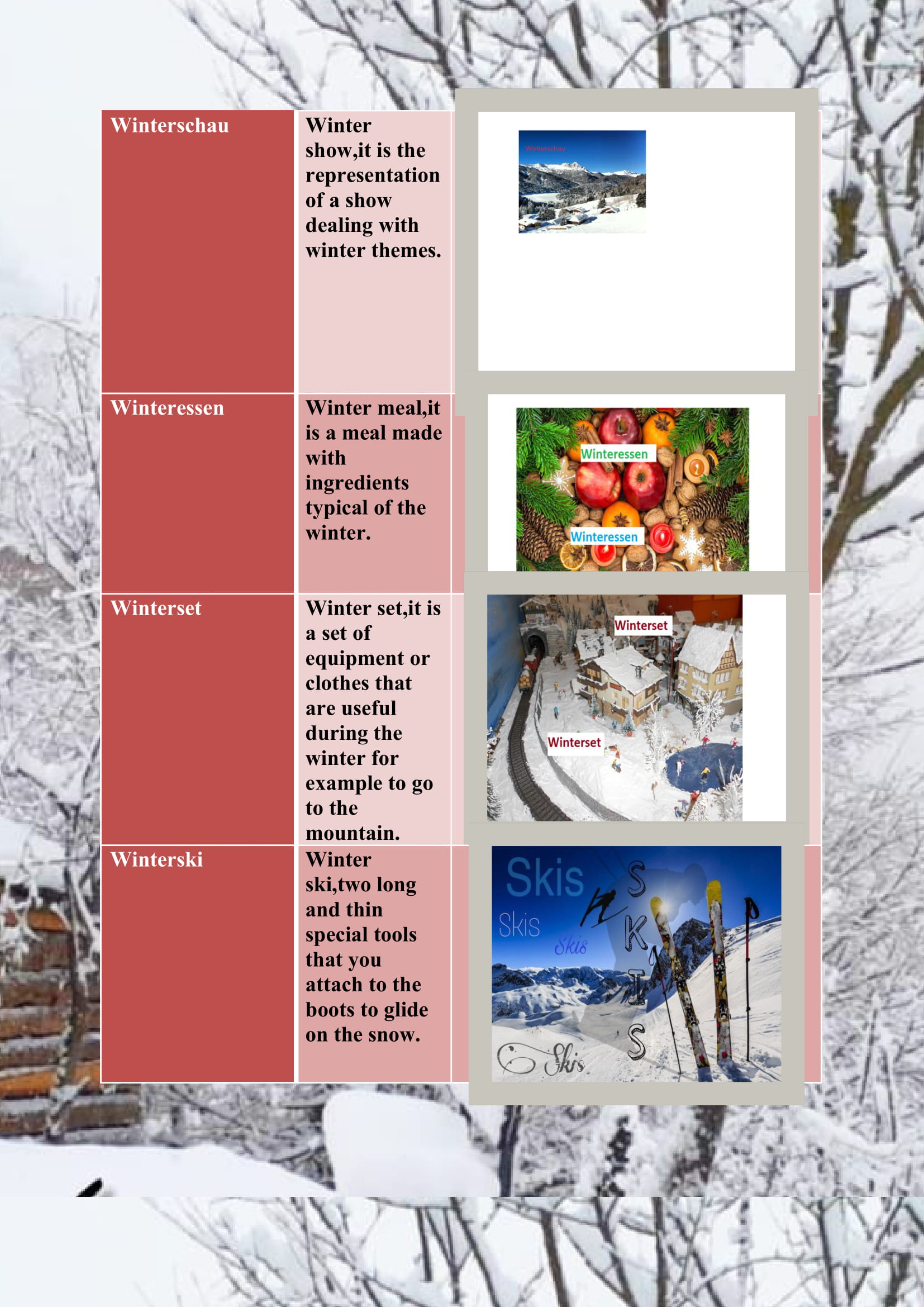 WINTER ITEMS DICTIONARY by mine seyhan - Illustrated by Mine Seyhan - Ourboox.com
