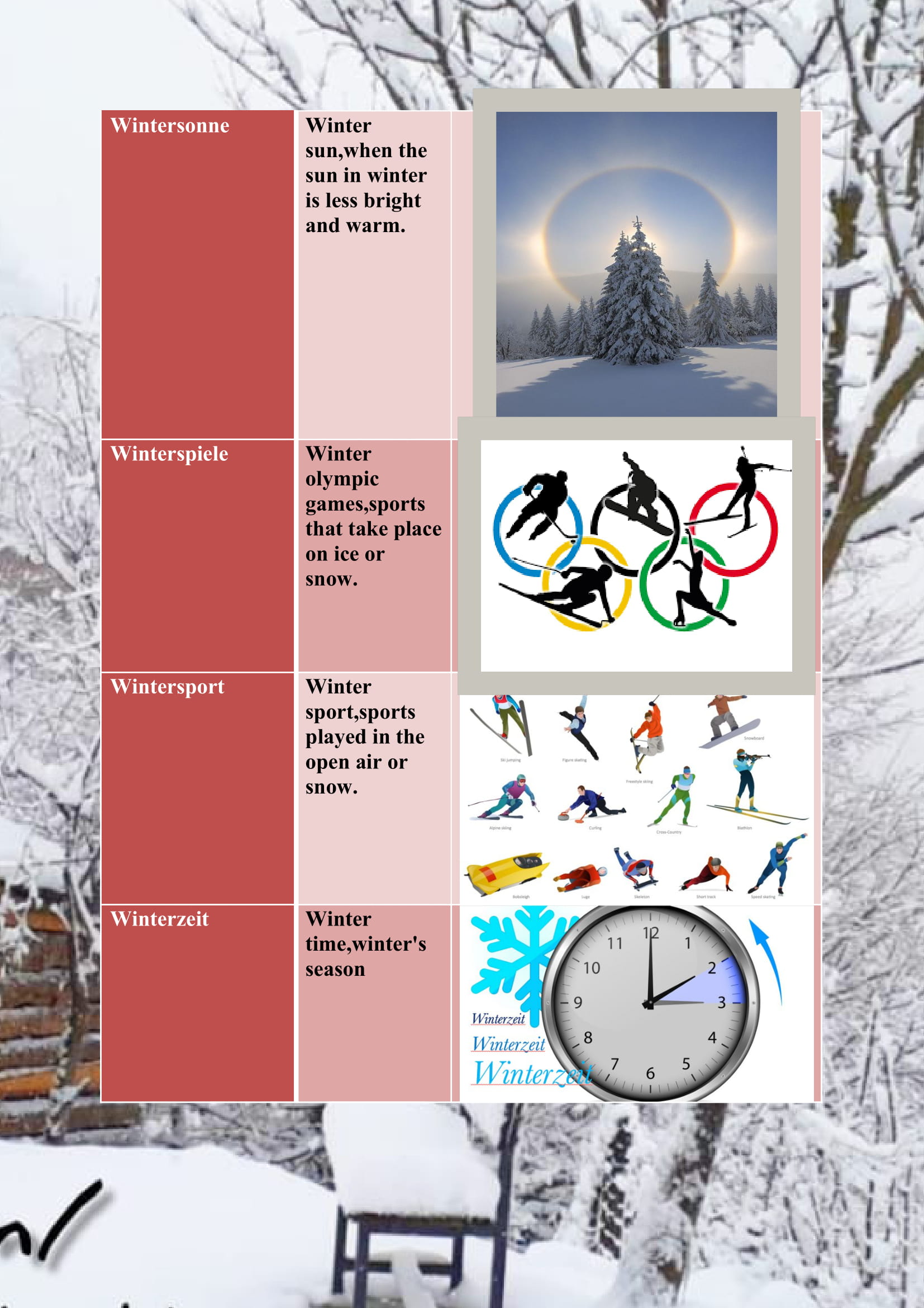 WINTER ITEMS DICTIONARY by mine seyhan - Illustrated by Mine Seyhan - Ourboox.com
