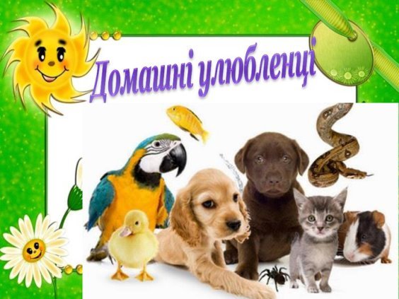 Наші домашні улюбленці by Любов - Illustrated by Любов Максименко - Ourboox.com Наші домашні улюбленці by Любов - Illustrated by Любов Максименко - Ourboox.com