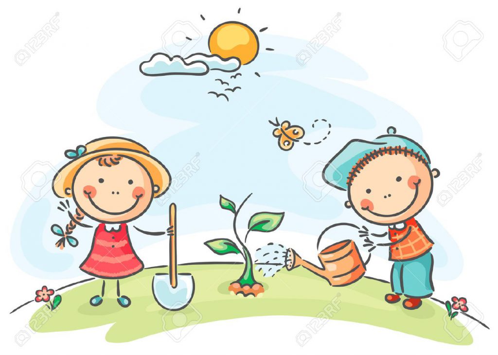 أجزاء النبات by shuruq - Illustrated by Shuruq / Salwa / Israa - Ourboox.com