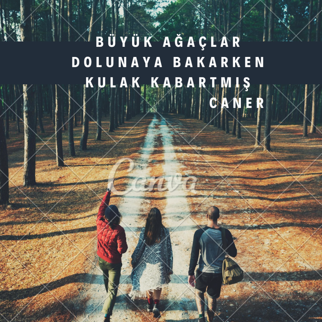 Ben de Yazarım/I Write Too by gülbeyaz daşkıran - Ourboox.com
