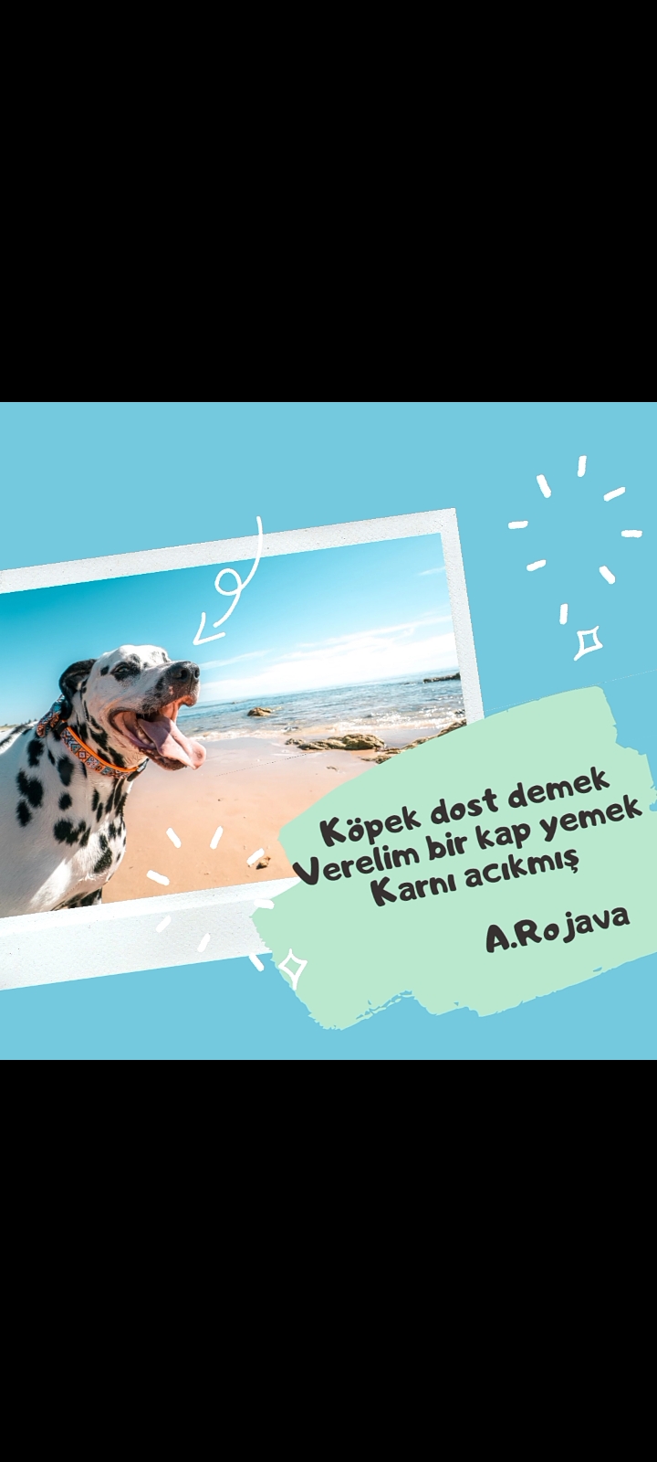 Ben de Yazarım/I Write Too by gülbeyaz daşkıran - Ourboox.com