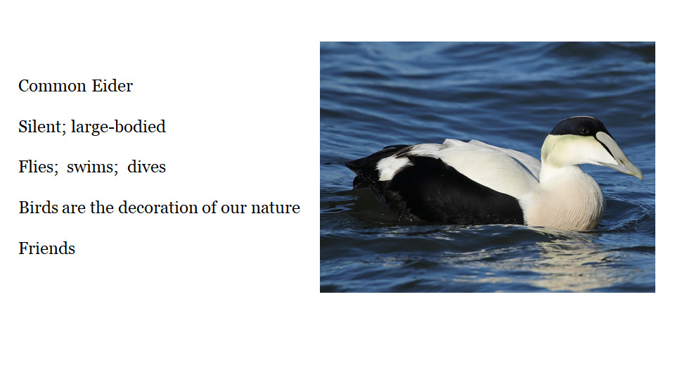 Poems about our Rivers of Life by Margarita Renedo Gómez - Ourboox.com