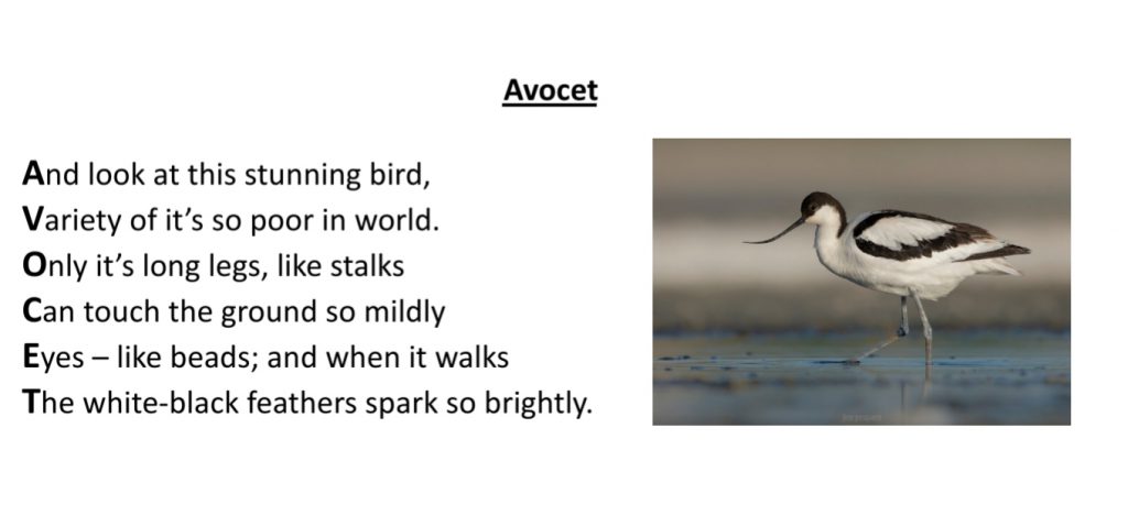 Poems about our Rivers of Life by Margarita Renedo Gómez - Ourboox.com