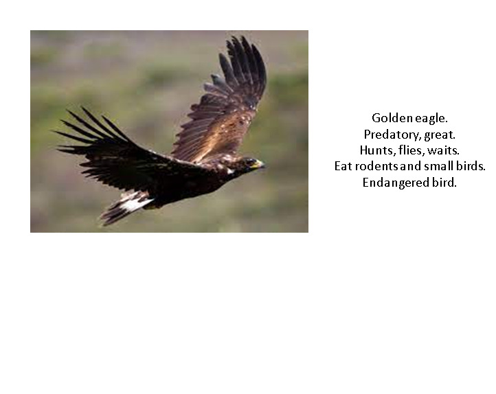 Poems about our Rivers of Life by Margarita Renedo Gómez - Ourboox.com